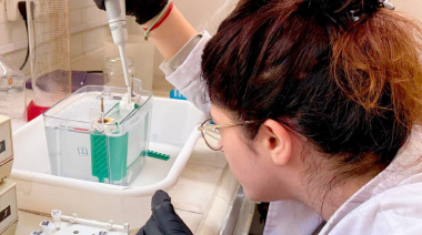 Científicos de la UBA trabajan para detectar y detener la metástasis