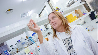 Tuberculosis: investigaciones del CONICET que hacen frente a un problema de salud global