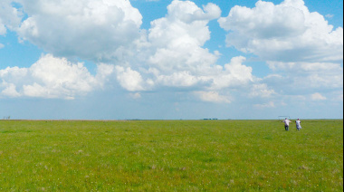Científicos del CONICET evalúan estrategias para mejorar la productividad de los pastizales