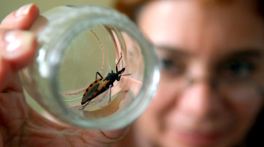 Chagas en Argentina: más de 1,3 millones de personas tienen la enfermedad