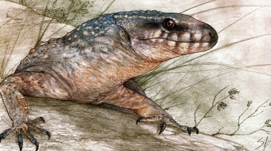 Científicos del CONICET hallan en la Patagonia argentina un nuevo reptil de 70 millones de años