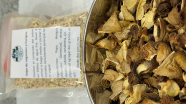 Ciencia que alimenta: la UNLP lanzó una sopa crema de hongos para comedores