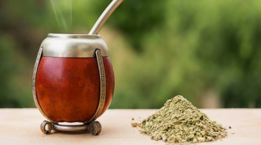Un estudio de la UBA investiga cómo el mate podría retrasar la aparición del Parkinson