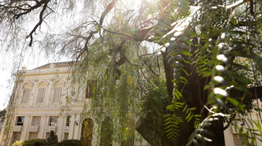 Más sustentable: la UNLP redujo un 12% su huella de carbono