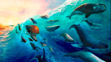 Especialistas del CONICET redefinen la historia evolutiva y ecológica de los cetáceos