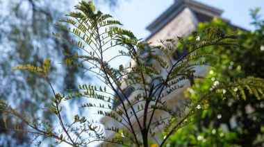 La UNLP escaló 213 posiciones en el ranking mundial de sostenibilidad