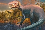 Científicos del CONICET descubren un dinosaurio carnívoro que habría sido de los últimos en extinguirse