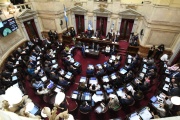 El Senado se prepara para desactivar el veto al financiamiento universitario y a la emergencia pediátrica