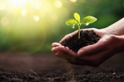 Ciclo de capacitaciones en sostenibilidad para promover la conciencia ambiental en la UNDEC
