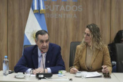 Financiamiento Universitario: Finocchiaro y Osuna protagonizaron un duro cruce en Diputados