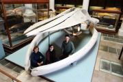 Un estudio de la UNLP reconstruyó cómo las ballenas conquistaron los océanos durante 50 millones de años