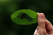 La UNTREF y Latidos de la Tierra firman convenio de formación sobre huella de carbono