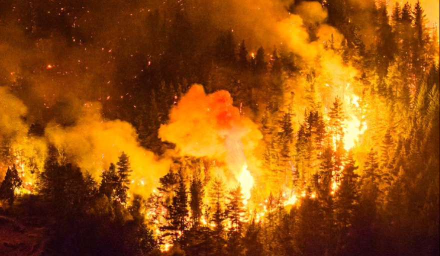 Incendios forestales: los factores que agravan su propagación y los desafíos para su prevención
