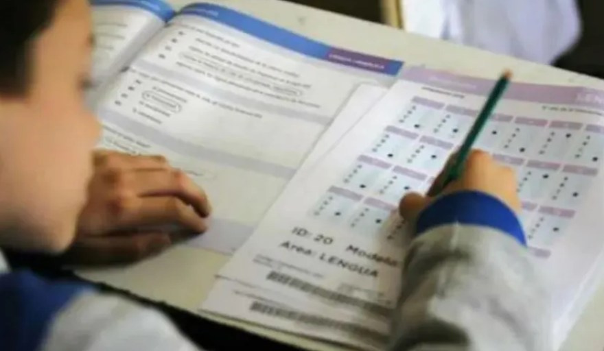 Las pruebas Aprender 2025 mostraron la mejor performance en Lengua de la última década en la primaria