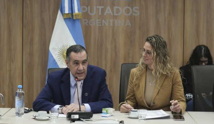 Fiananciamiento Universitario: Finocchiaro y Osuna protagonizaron un duro cruce en Diputados